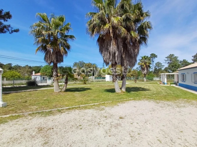 Quinta T4 para Venda em Azeitão (São Lourenço e São Simão) Foto 31