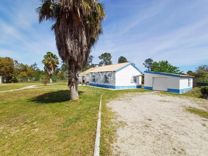 Quinta T4 para Venda em Azeitão (São Lourenço e São Simão) Foto 32