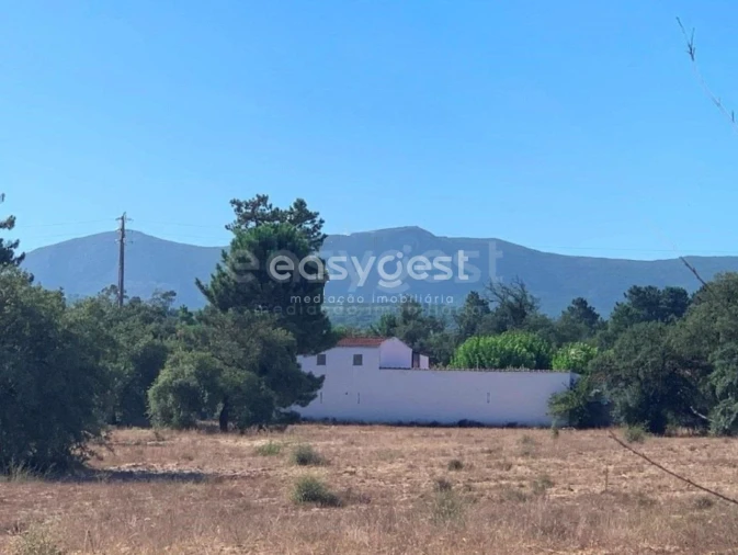 Quinta T4 para Venda em Azeitão (São Lourenço e São Simão) Foto 35