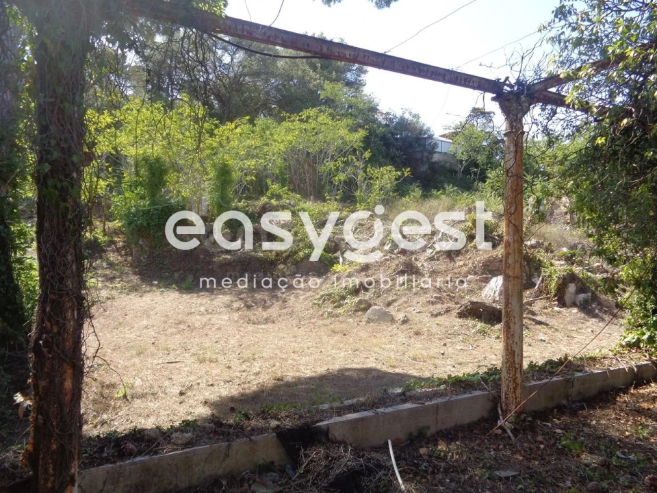 Quinta para Venda em Sesimbra (Castelo) Foto 4