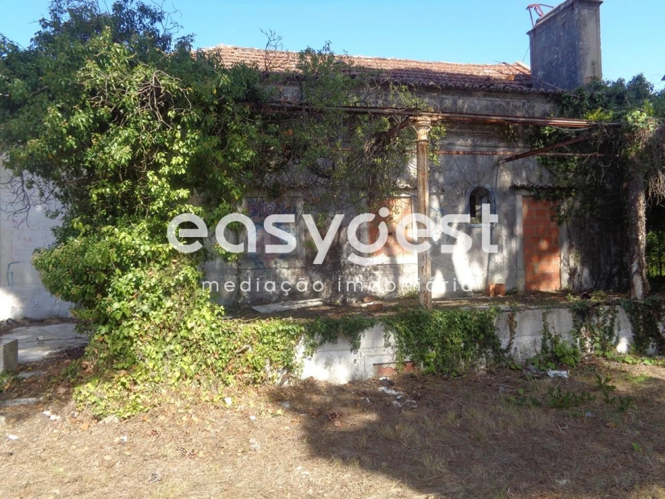 Quinta para Venda em Sesimbra (Castelo) Foto 7