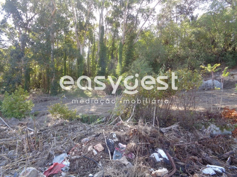 Quinta para Venda em Sesimbra (Castelo) Foto 9