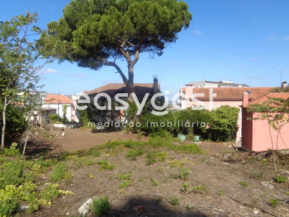 Quinta para Venda em Sesimbra (Castelo) Foto 11