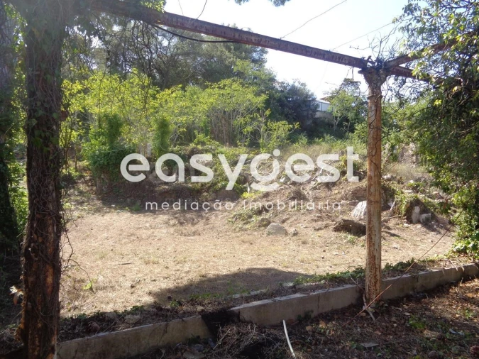 Quinta para Venda em Sesimbra (Castelo) Foto 4