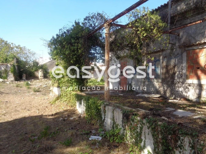 Quinta para Venda em Sesimbra (Castelo) Foto 5