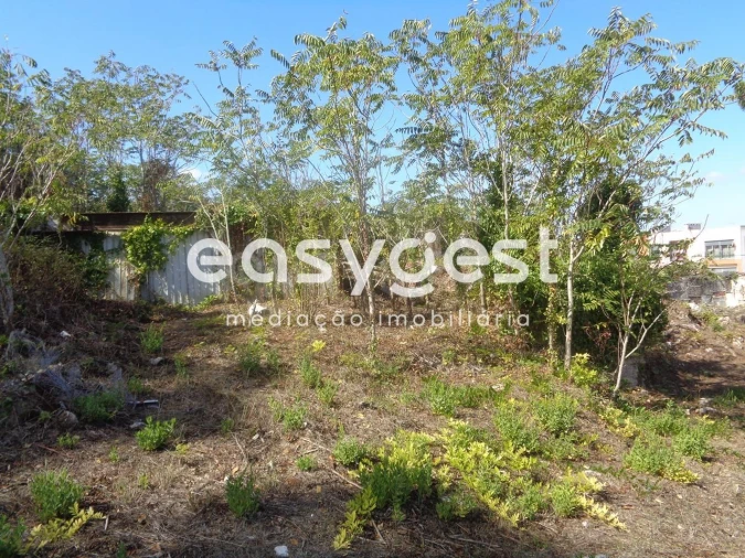 Quinta para Venda em Sesimbra (Castelo) Foto 10