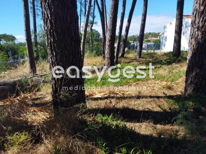 Terreno para Venda em Sesimbra (Castelo) Foto 4