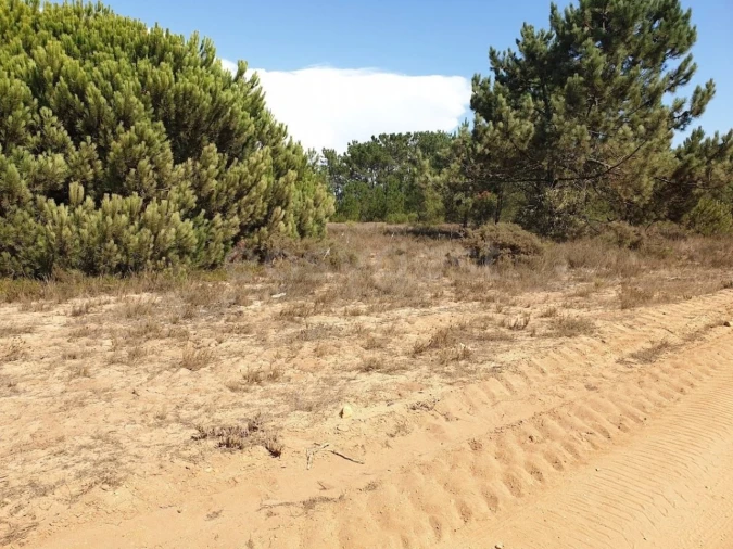 Terreno Agricola ou Rústico para Venda em Longueira/Almograve Foto 5