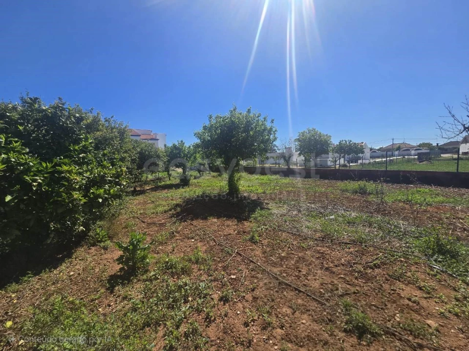 Moradia T4 para Venda em Borba (Matriz) Foto 24