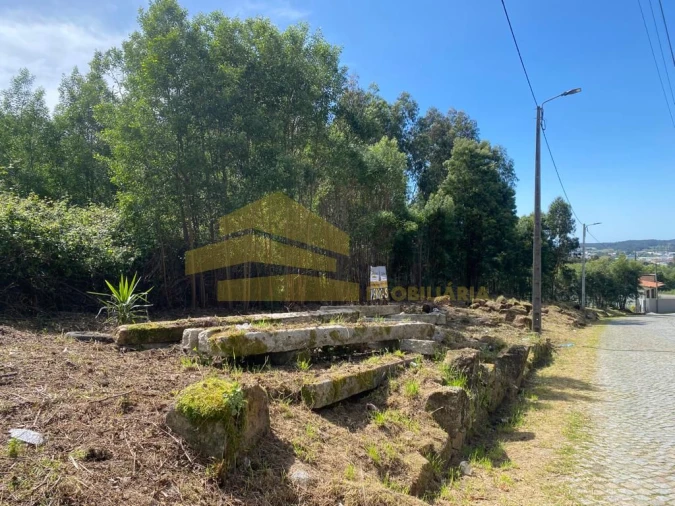 Terreno para Venda em Coronado (São Romão e São Mamede) Foto 2