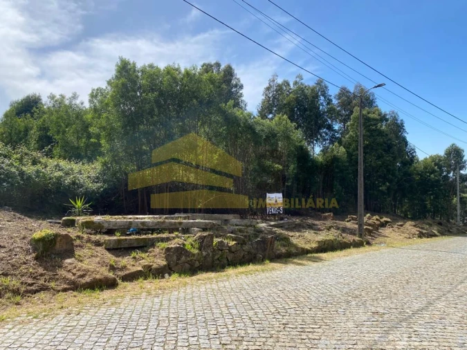 Terreno para Venda em Coronado (São Romão e São Mamede) Foto 1