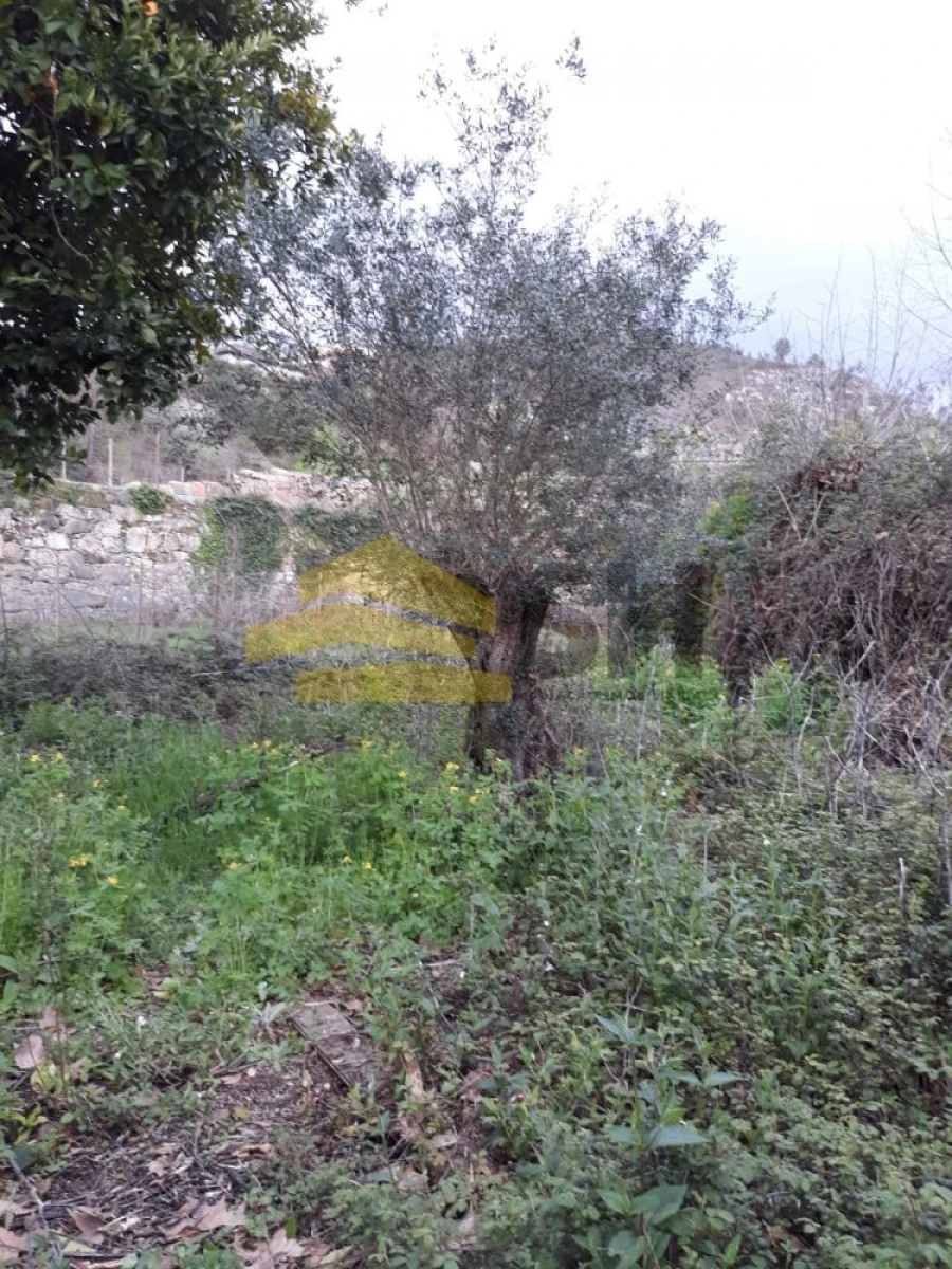 Moradia T2 para Venda em Mondim de Basto Foto 47