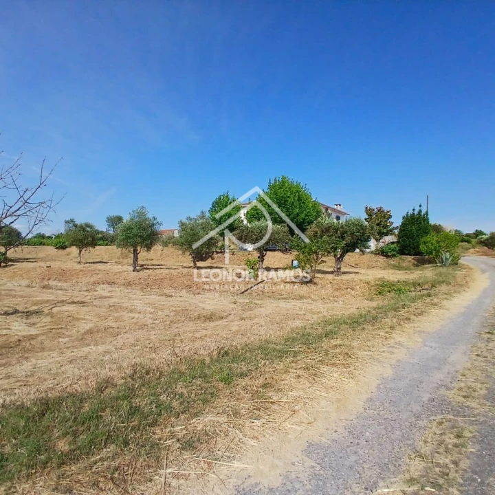 Moradia T4 para Venda em Fundão, Valverde, Donas, A. Joanes, A. Nova Cabo Foto 11
