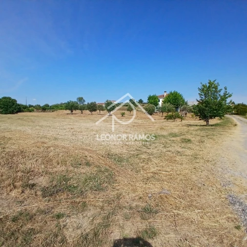 Moradia T4 para Venda em Fundão, Valverde, Donas, A. Joanes, A. Nova Cabo Foto 7