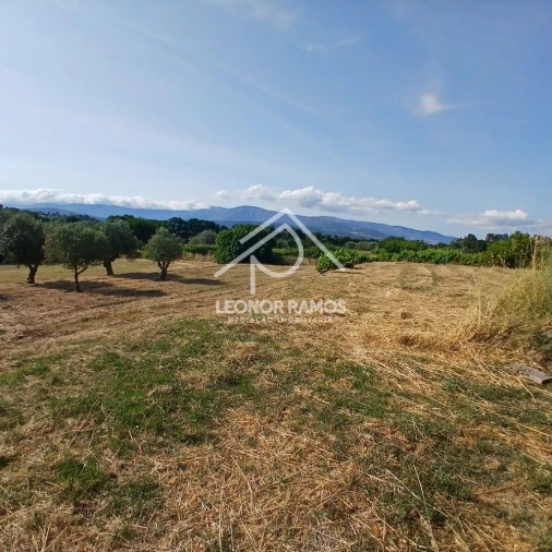 Moradia T4 para Venda em Fundão, Valverde, Donas, A. Joanes, A. Nova Cabo Foto 3