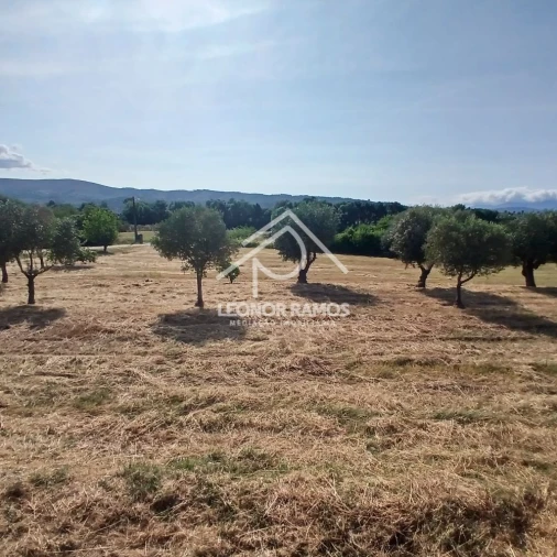 Moradia T4 para Venda em Fundão, Valverde, Donas, A. Joanes, A. Nova Cabo Foto 2