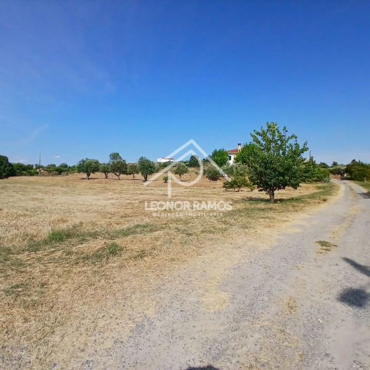 Moradia T4 para Venda em Fundão, Valverde, Donas, A. Joanes, A. Nova Cabo Foto 9