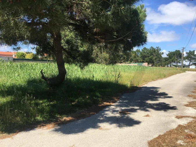 Terreno para Venda em Silveira
