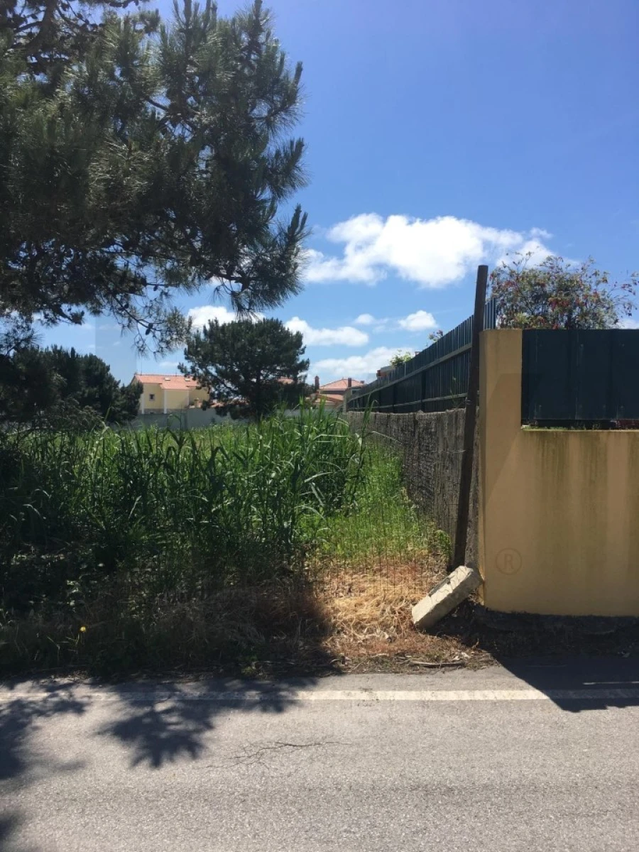 Terreno para Venda em Silveira Foto 2