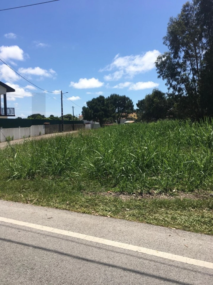 Terreno para Venda em Silveira Foto 7