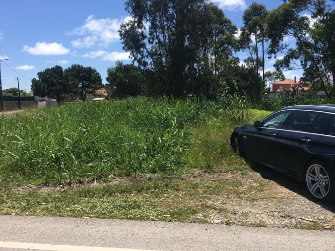 Terreno para Venda em Silveira Foto 8