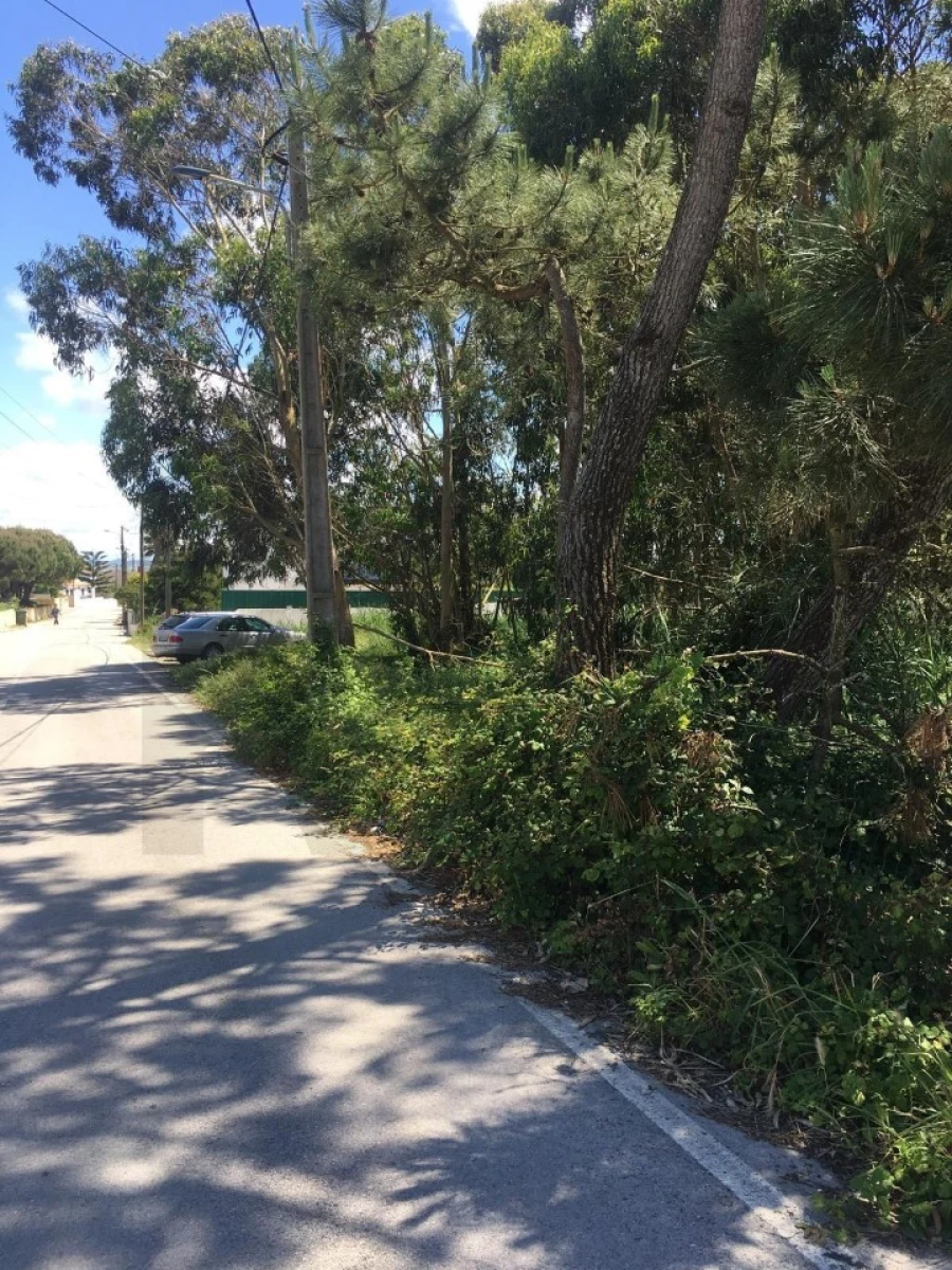 Terreno para Venda em Silveira Foto 9