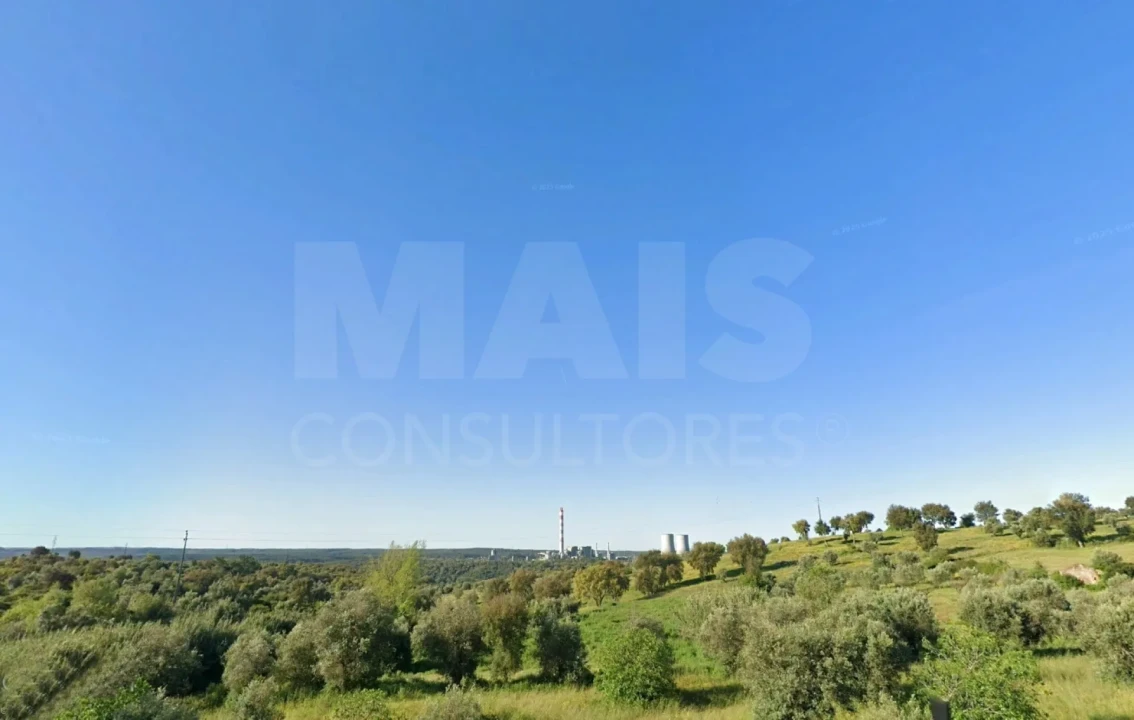Terreno para Venda em Mouriscas Foto 5