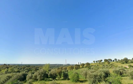Terreno para Venda em Mouriscas