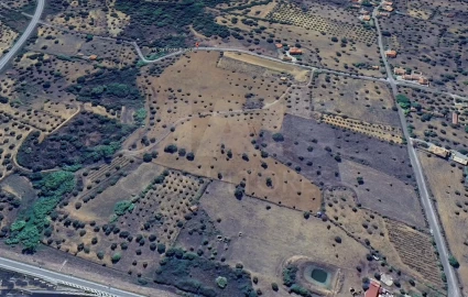 Terreno para Venda em Mouriscas