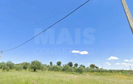 Terreno para Venda em Mouriscas