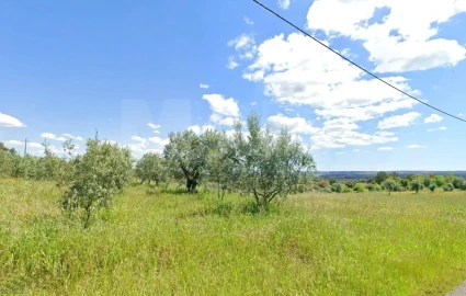 Terreno para Venda em Mouriscas