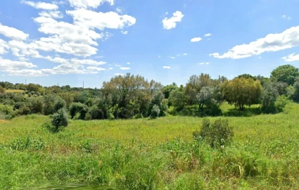 Terreno para Venda em Mouriscas