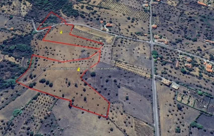 Terreno para Venda em Mouriscas