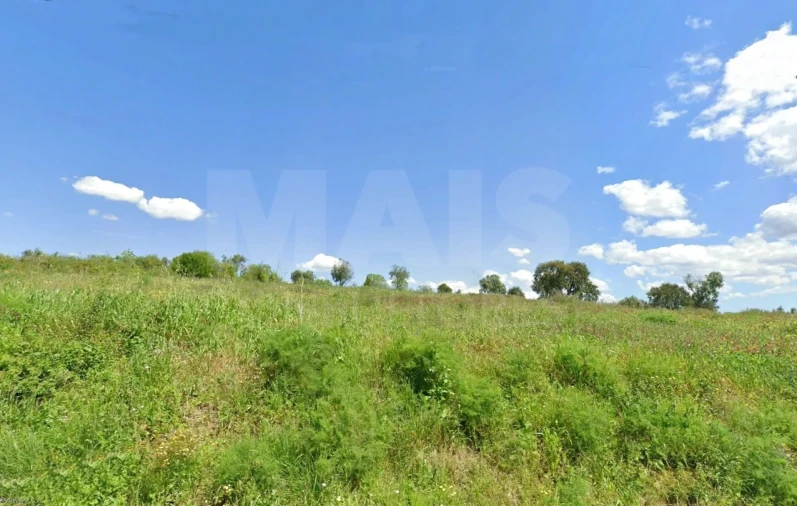 Terreno para Venda em Mouriscas Foto 2