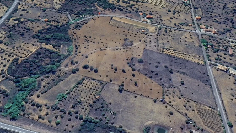 Terreno para Venda em Mouriscas