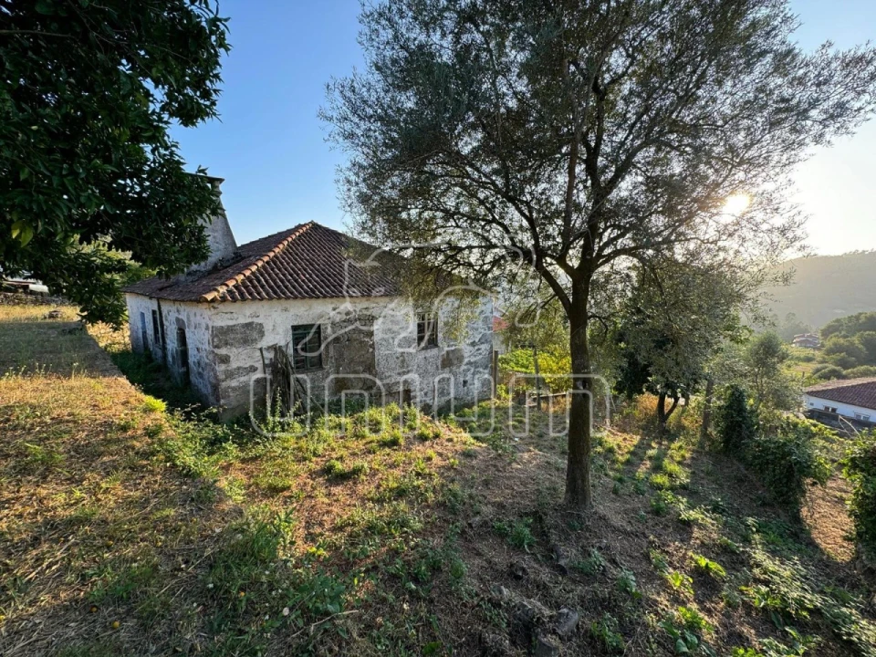 Quinta T3 para Venda em Vale Foto 9