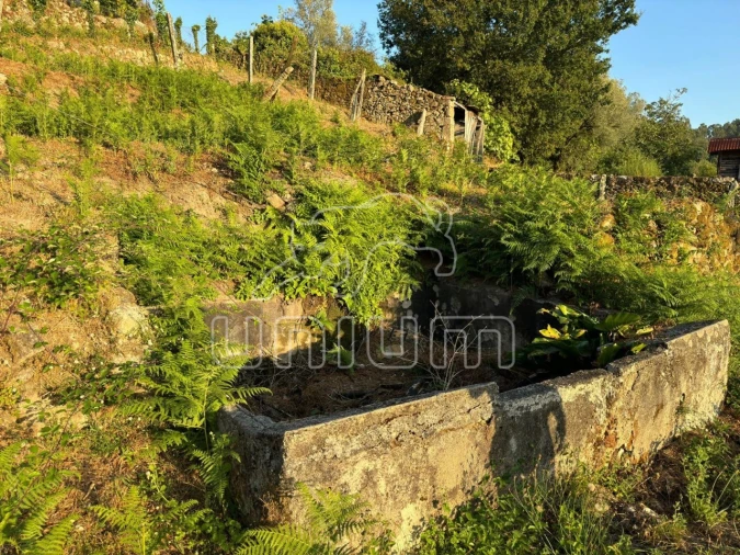 Quinta T3 para Venda em Vale Foto 8