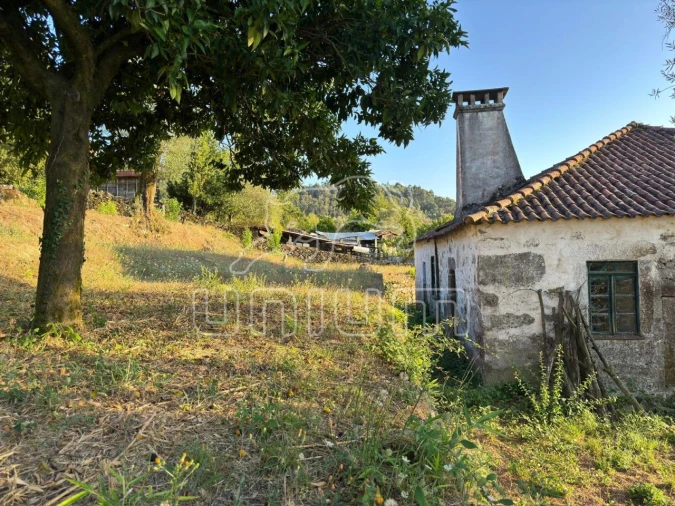 Quinta T3 para Venda em Vale Foto 10