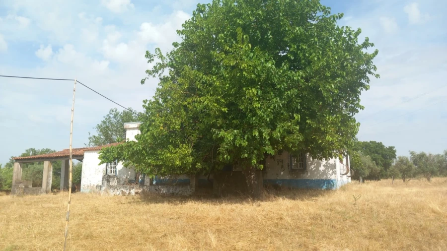 Moradia T8 para Venda em Barbacena e Vila Fernando Foto 24