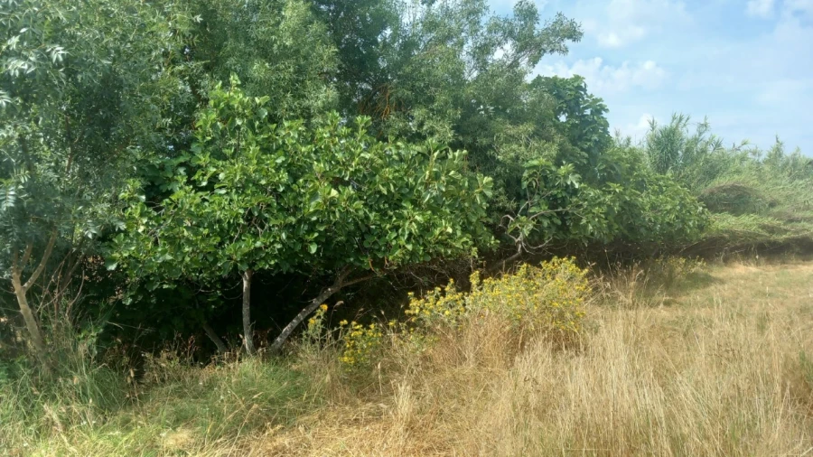 Moradia T8 para Venda em Barbacena e Vila Fernando Foto 26