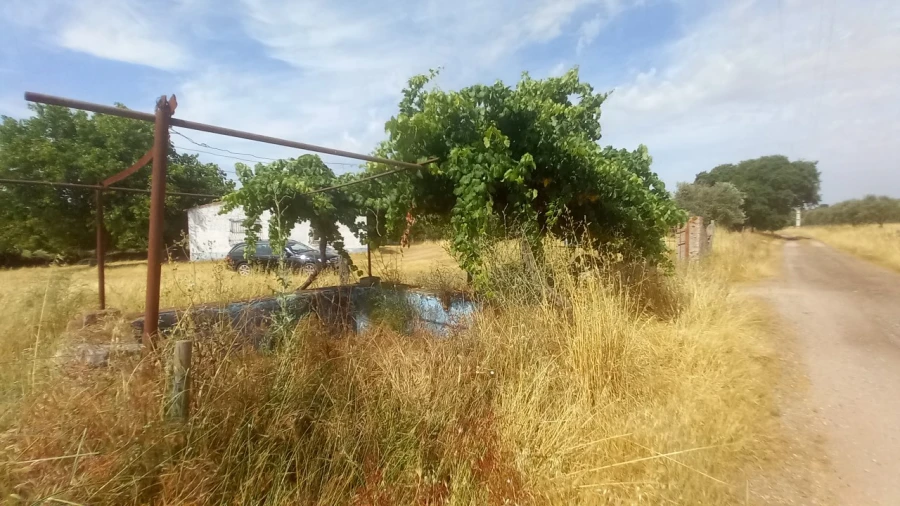 Moradia T8 para Venda em Barbacena e Vila Fernando Foto 27