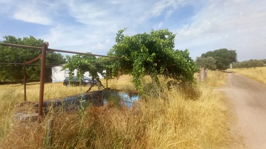 Moradia T8 para Venda em Barbacena e Vila Fernando Foto 28