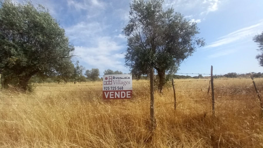 Moradia T8 para Venda em Barbacena e Vila Fernando Foto 38