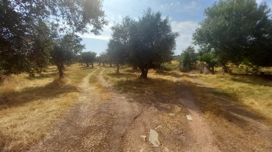 Moradia T8 para Venda em Barbacena e Vila Fernando Foto 43