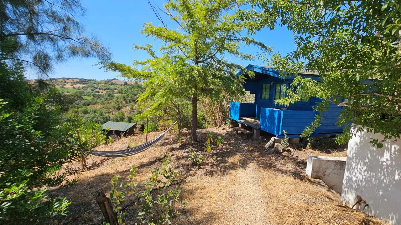 Quinta T25 para Venda em Santa Catarina da Fonte do Bispo Foto 28