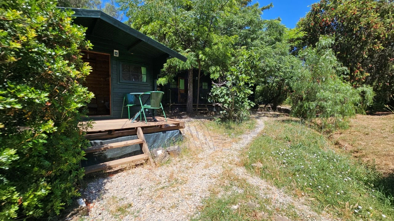 Quinta T25 para Venda em Santa Catarina da Fonte do Bispo Foto 33