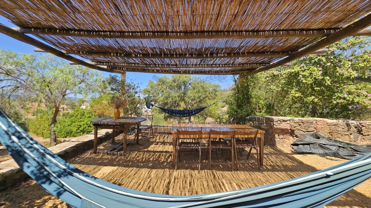 Quinta T25 para Venda em Santa Catarina da Fonte do Bispo Foto 50