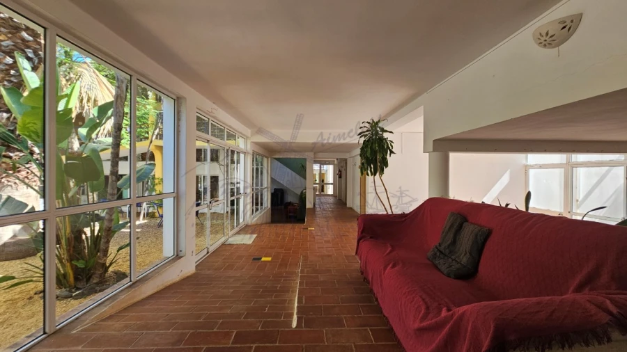 Quinta T25 para Venda em Santa Catarina da Fonte do Bispo Foto 9