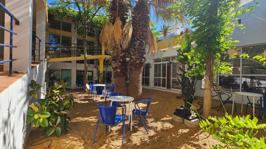 Quinta T25 para Venda em Santa Catarina da Fonte do Bispo Foto 10