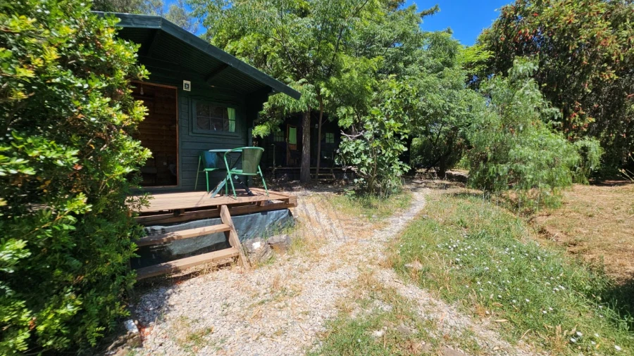 Quinta T25 para Venda em Santa Catarina da Fonte do Bispo Foto 33